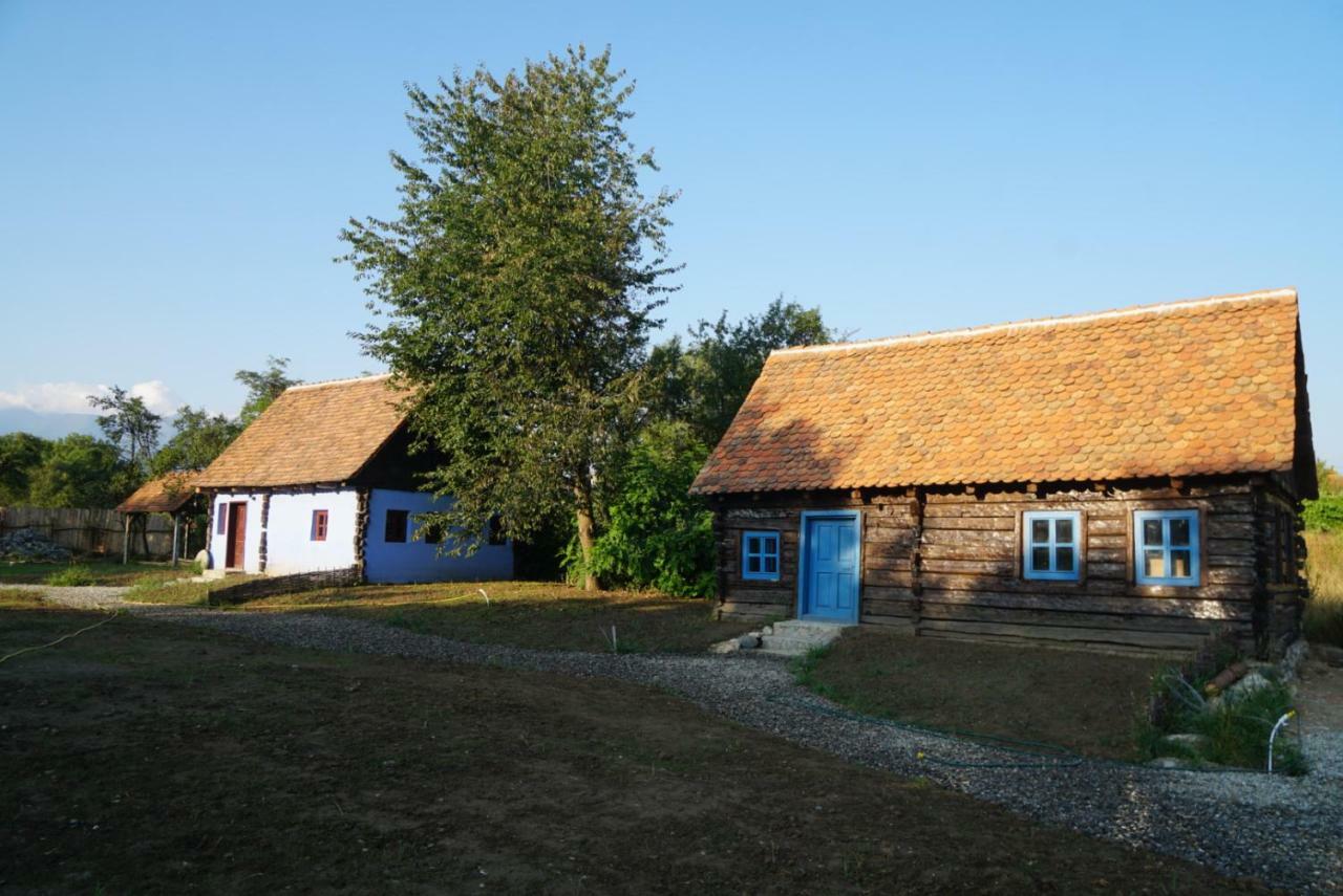 Oberwood Villa Porumbacu de Sus Exterior photo